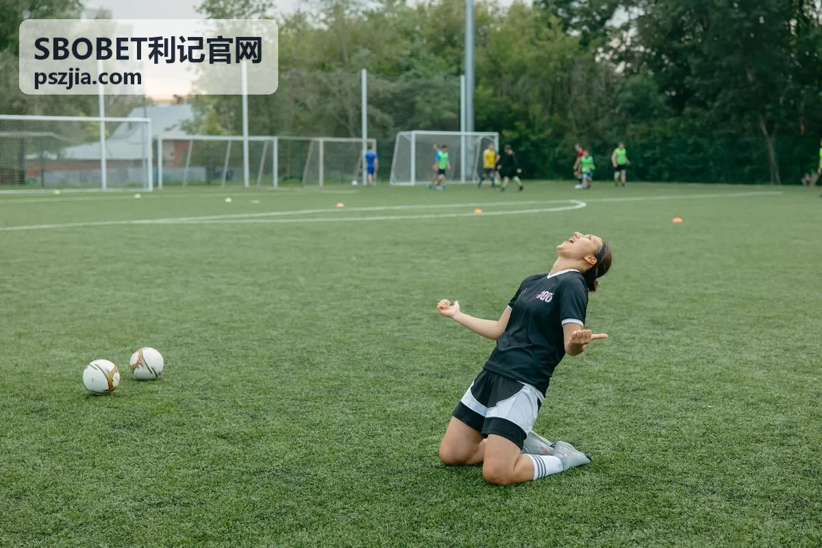 SBOBET利记智能分析